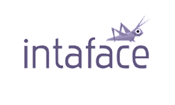 interface